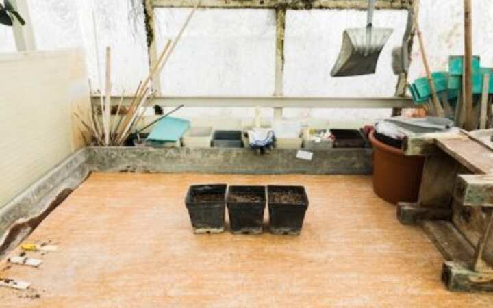 Expert Water Extraction Services Your Go-To Water Damage Drying Company